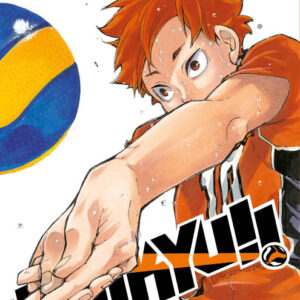 Haikyu!! - Volume 17 - Big