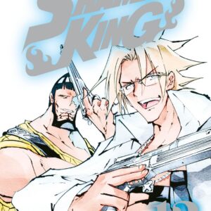 Shaman King Big - Volume 13