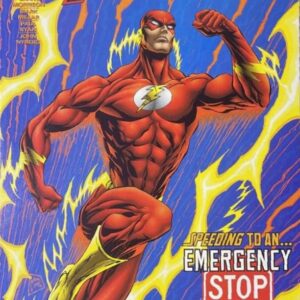 A Saga do Flash - Volume 17