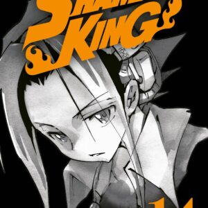 Shaman King - BIG - Volume 14