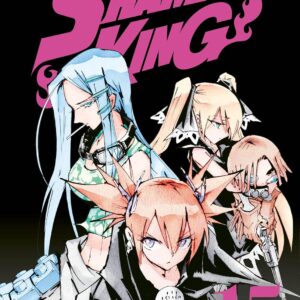 Shaman King Big - Volume 15